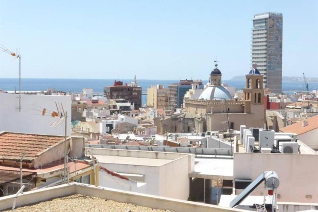The Secret Garden Villa Alicante Exteriör bild