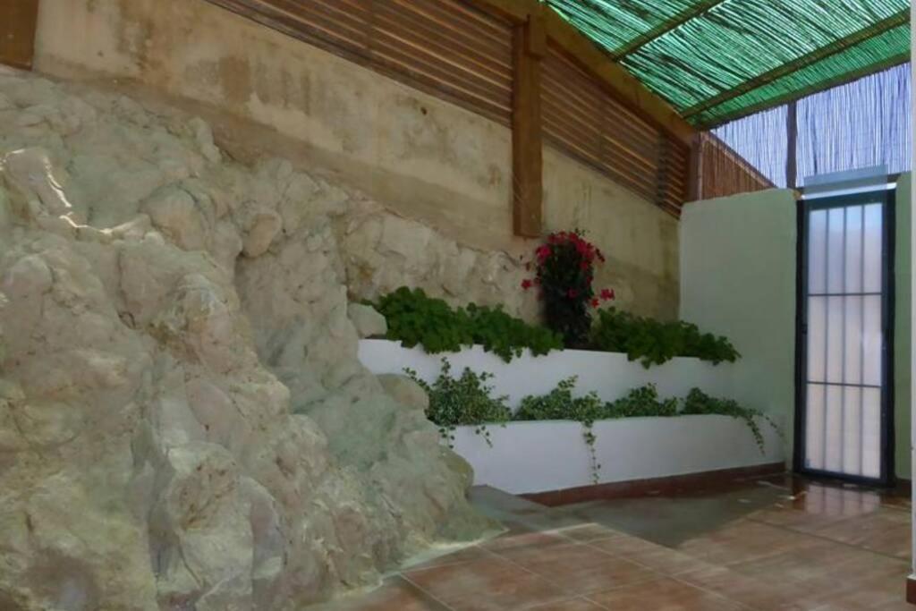The Secret Garden Villa Alicante Exteriör bild